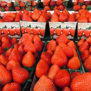 Meet your Posher, Rebecca